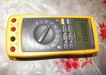 fluke 189