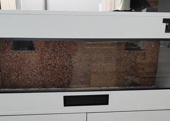 Terrarium dla agama gekon wąż żółw