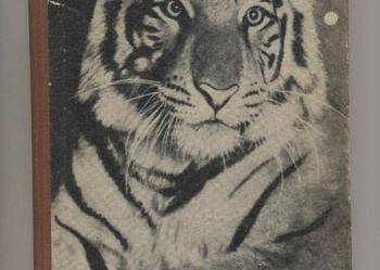 Przekrój przez ZOO - Żabiński Przekrój przez ZOO - Żabiński