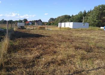 Działka 13arow Głogów, Zabornia