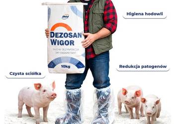 Dezosan Wigor do suchej dezynfekcji 250kg DOSTAWA GRATIS dezynfekcja