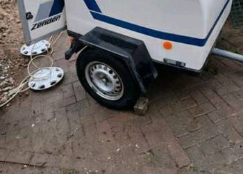 Przyczepka do transportu psów