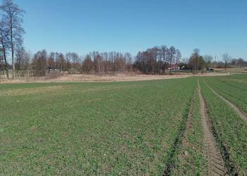 Działka budowlana Kowalki