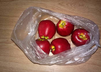 JABŁKO OWOC SZTUCZNY - duża naturalna