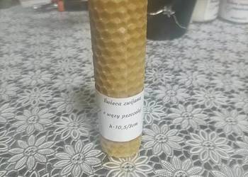 Świeca zwijana z węzy wosku pszczelego 100% naturalna