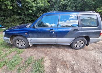 Subaru forester