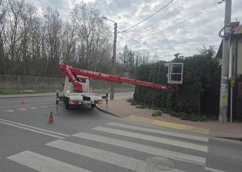 Wycinka drzew, frezowanie pni, rozdrabnianie gałęzi