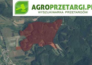 Dzierżawa 7,67 ha gruntu rolnego