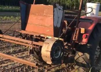 Sadzarka do bobu i czosnku własnej produkcji  3 rzędowa