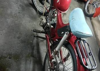 Komar 235
