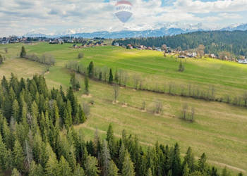 DZIAŁKA ROLNA - SPRZEDAŻ- ZĄB (LIGASÓWKA)