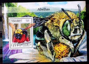 Mozambik blok ( pszczoły)