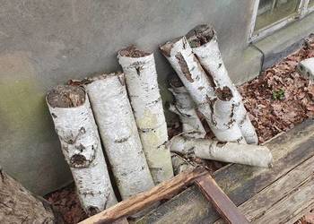 Drewno brzozowe (na opał lub dekor)