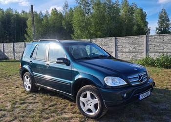 Mercedes-Benz w163 3.2 LPG 4X4