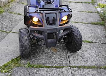 Quad hammer 200