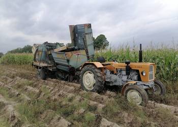 Kombajn do ziemniaków Anna