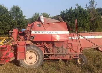 Massey Ferguson 187 sieczkarnia 3 metry koszenia to