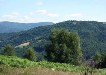 Brenna 2,53 ha działka inwestycyjna blisko wyciągu