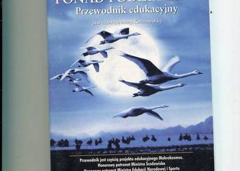 Ptaki ponad podziałami