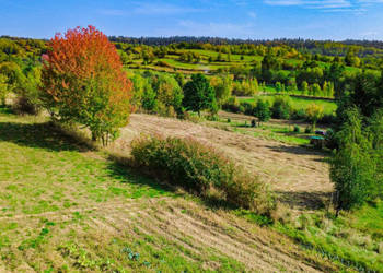 Działka Niebieszczany 2517.92m