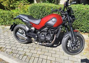 Benelli Leoncino 500