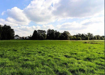 Cholerzyn - działka budowlana 8 arów