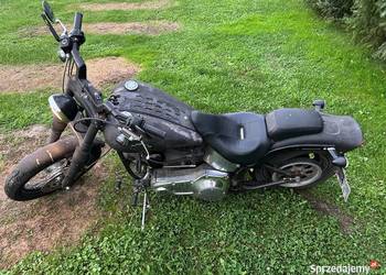 Harley-Davidson Fxstc softail custom EVO