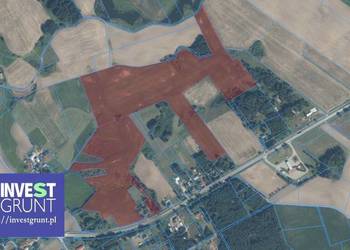 [57,18 ha] grunty rolne przetarg na dzierżawę