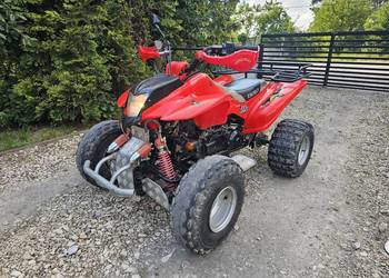 Quad 200 automat