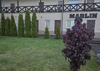 Lokal użytkowy nad morzem. 400m od plaży