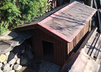 Solidna duża buda dla psa