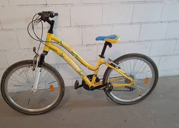 Rower dziecięcy Basia