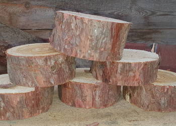 Plaster drewna modrzew 10-12 cm grubość 2 cm