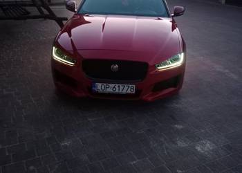 Jaguar XE 2.0 2019 R-Sport