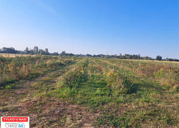 Grunt 22000m2 Łubnice