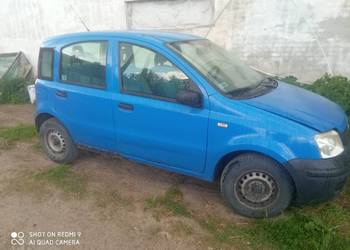 Panda 11 plus gaz