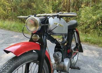 Komar Sport 2361 Unikat