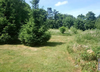 Działka 1818m2 Gostyń