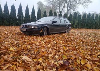 Wszystkie części BMW E39