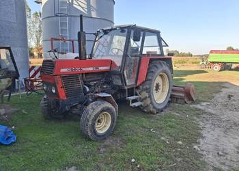 Ursus c 385
