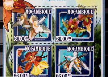 Mozambik ( storczyki)