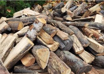 Drewno Kominkowe I Gałęziówka Buk Dąb Grab Brzoza Sosna Jesion SEZONOWANE