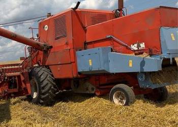 Witam mam na sprzedaż bizona Z056