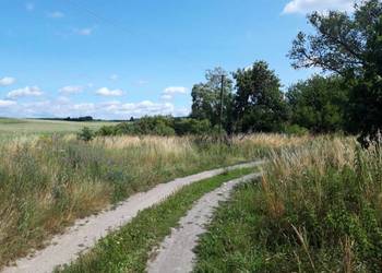 Działka budowlana Działka budowlana