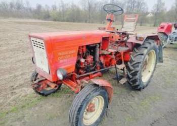 Rusek władymirec t25