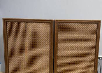 Kolumny głośnikowe Carnegle 60