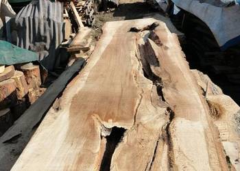 monolit dąb 245x65x6.5 stolik kawowy live edge żywica stół