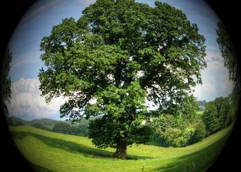 Sprawozdania z ochrony środowiska, KOBiZE, BDS, Odpady i opakowania w BDO