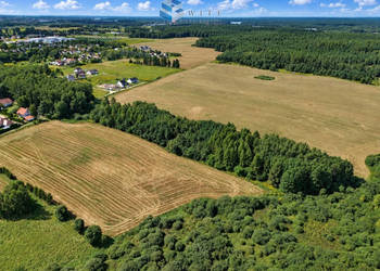 Oferta sprzedaży gruntu Zwierzewo 3124m2