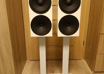 Kolumny głośnikowe Buchardt Audio P 300